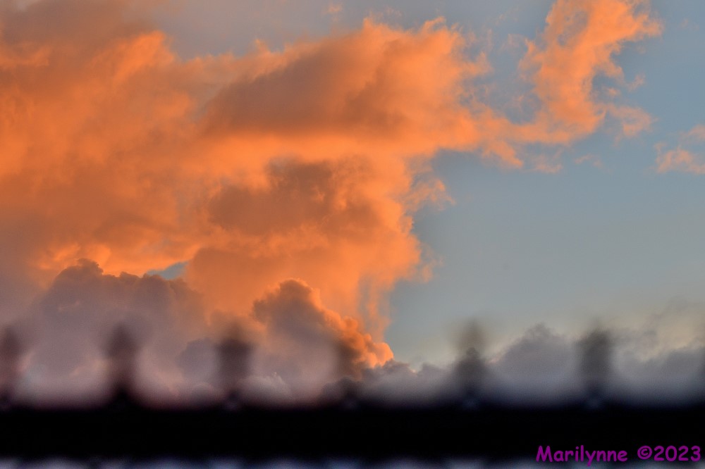 DSC_9380_001.JPG