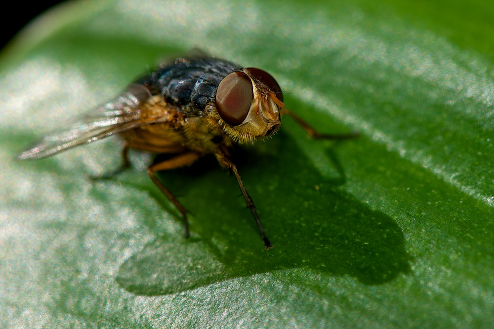 DSC_9389.jpg