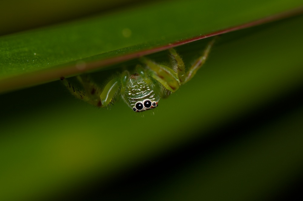 DSC_9399.jpg
