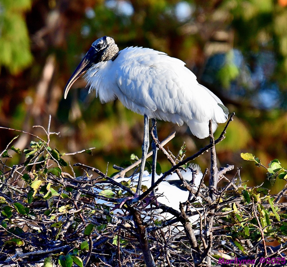 DSC_9400_001.JPG