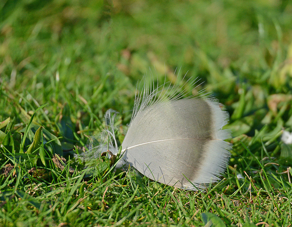 DSC_9407.jpg