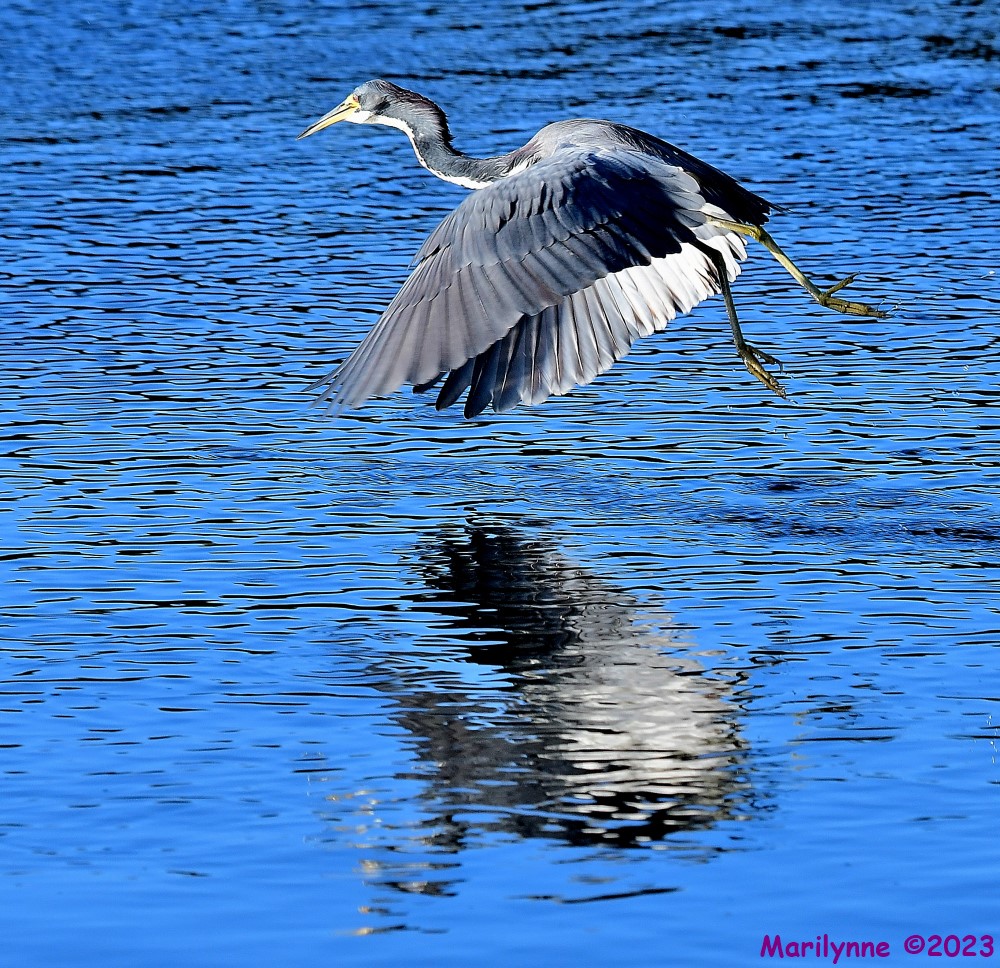 DSC_9409_001.JPG