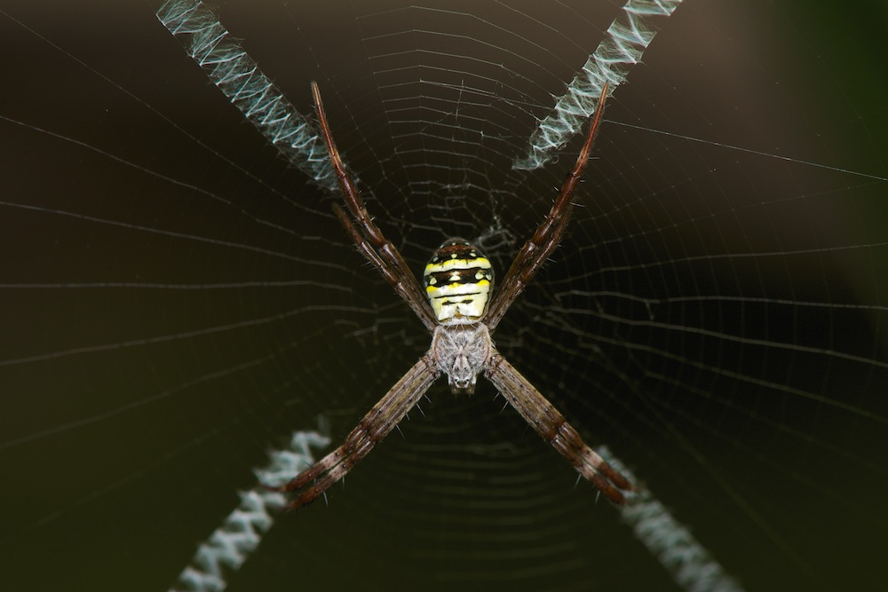 DSC_9413.jpg