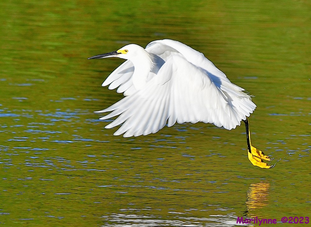 DSC_9414_001.JPG