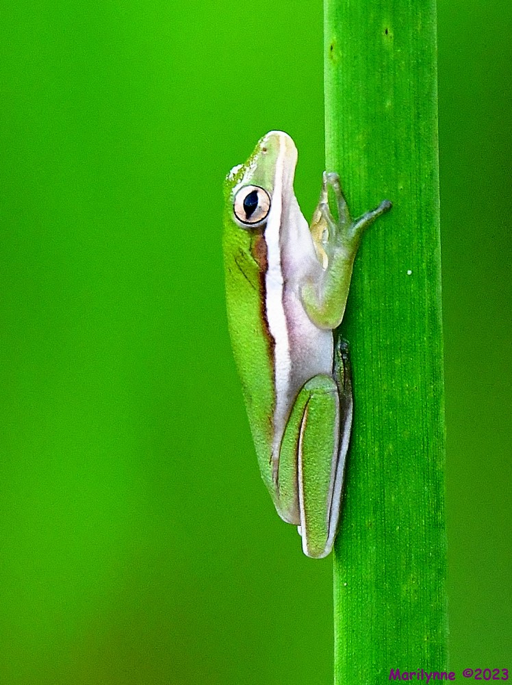 DSC_9417_001.JPG