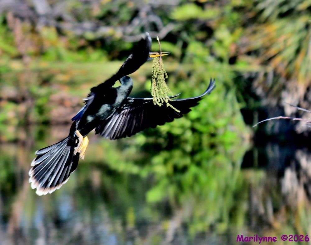 DSC_9420_001.JPG