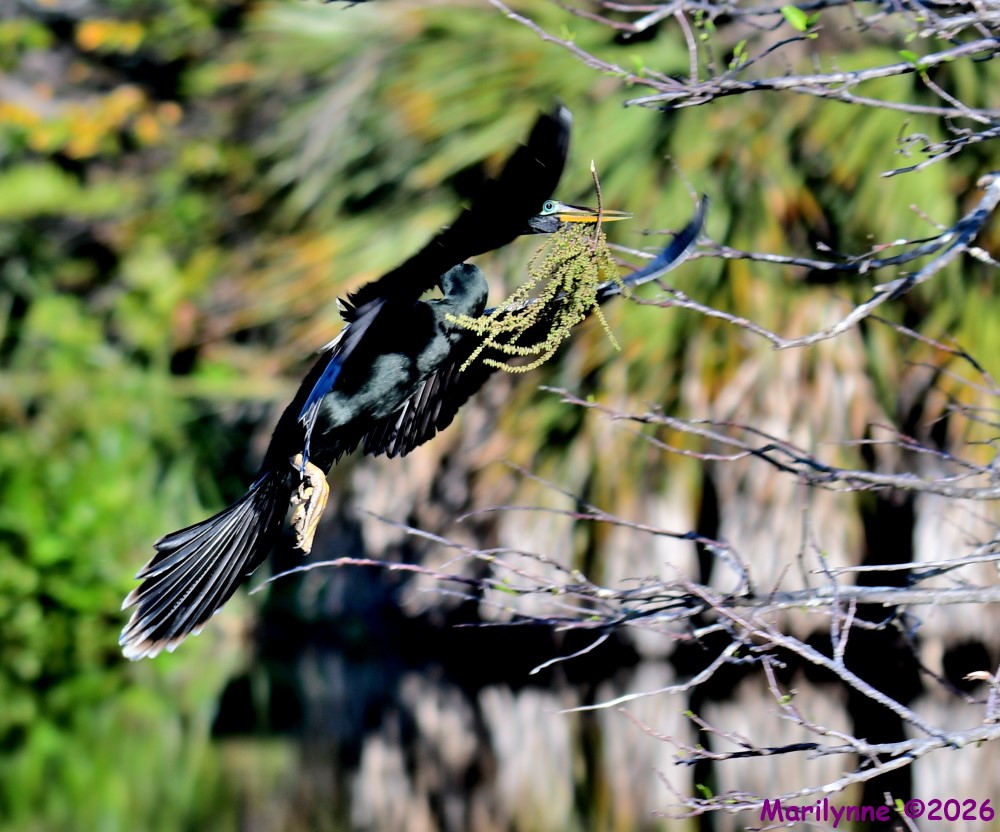 DSC_9422_001.JPG