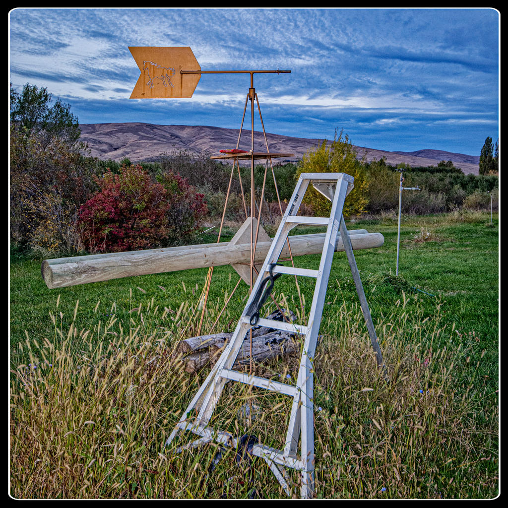 DSC_9428-Edit.jpg