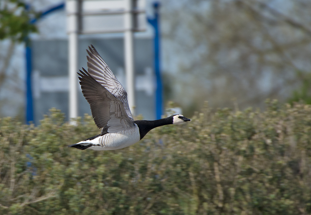 DSC_9428.jpg