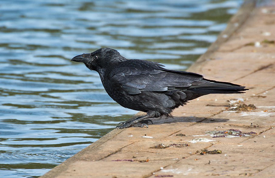 DSC_9440.jpg