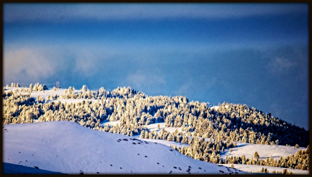 DSC_9466-Edit.jpg