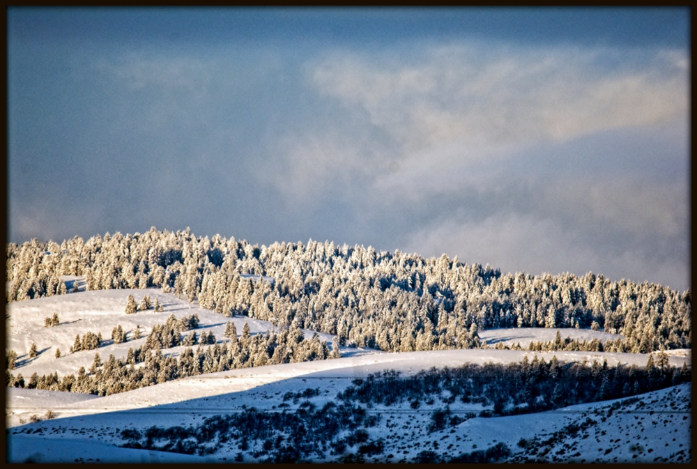 DSC_9468-Edit.jpg