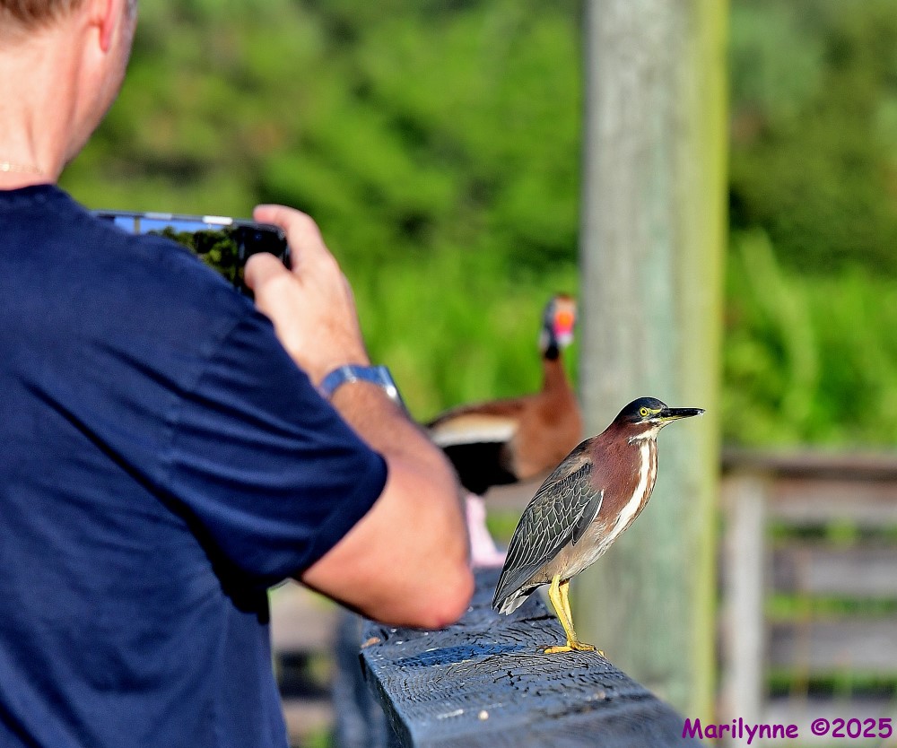 DSC_9469_001.JPG