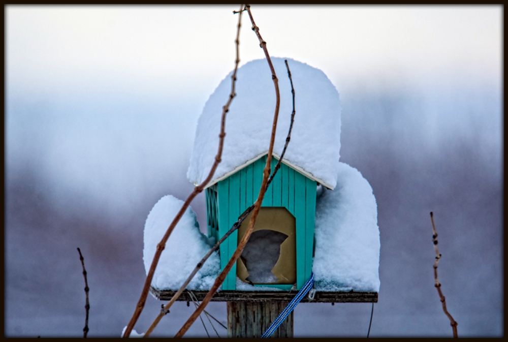 DSC_9470-Edit-Edit.jpg