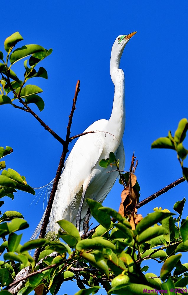 DSC_9470_001.JPG
