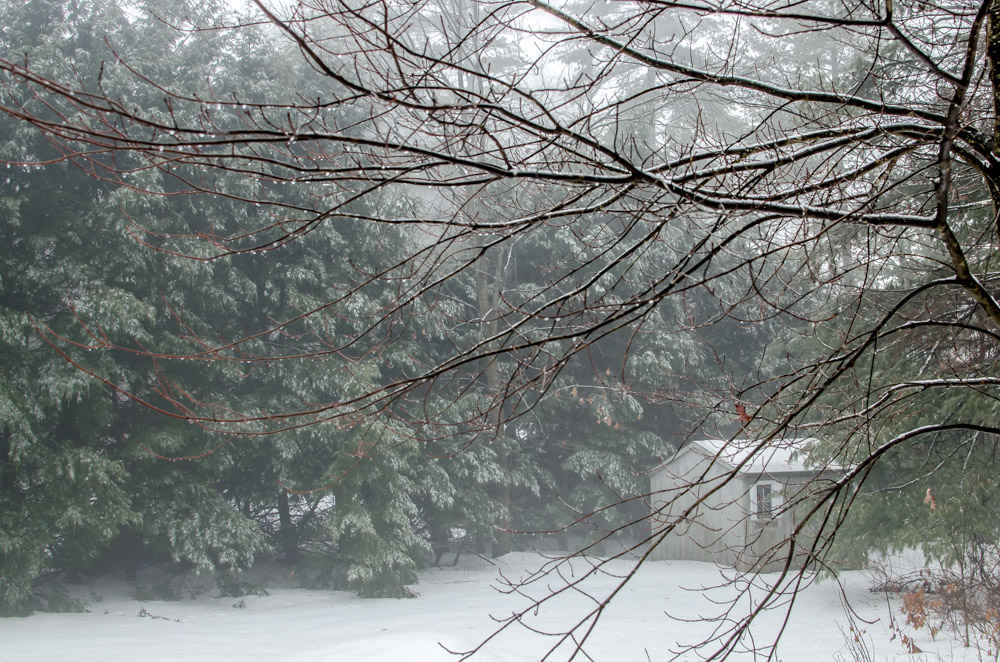 DSC_9479.jpg