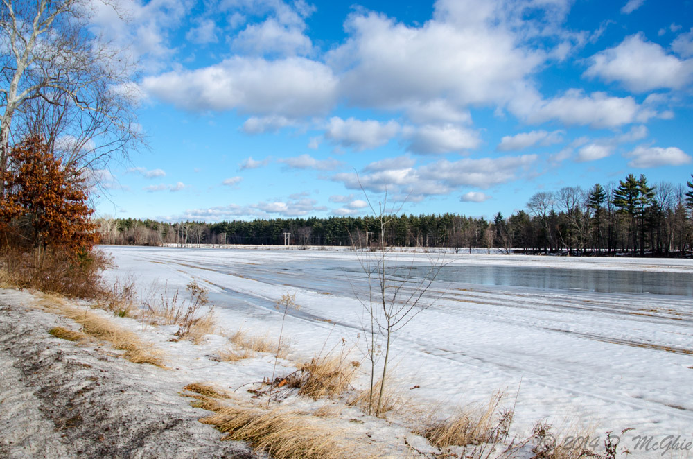 DSC_9486.jpg