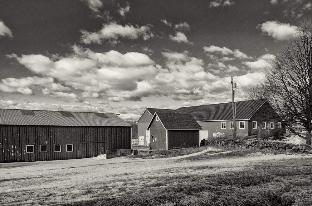 DSC_9487-Edit.jpg