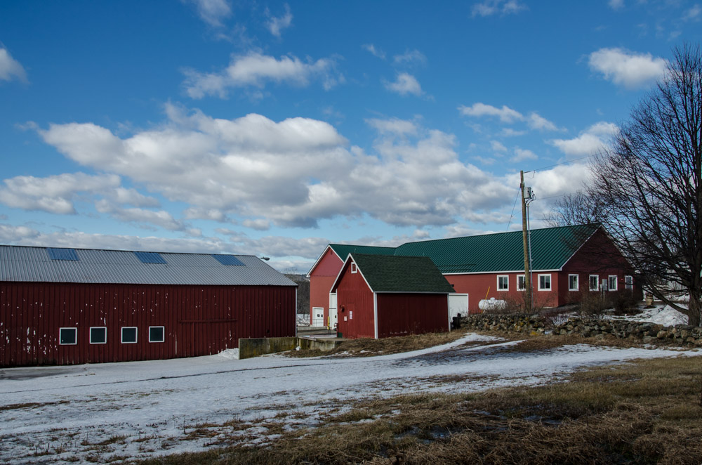 DSC_9487.jpg