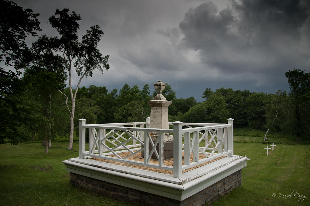 DSC_9505.jpg