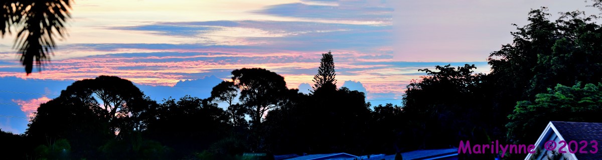 DSC_9510_stitch5_001.JPG