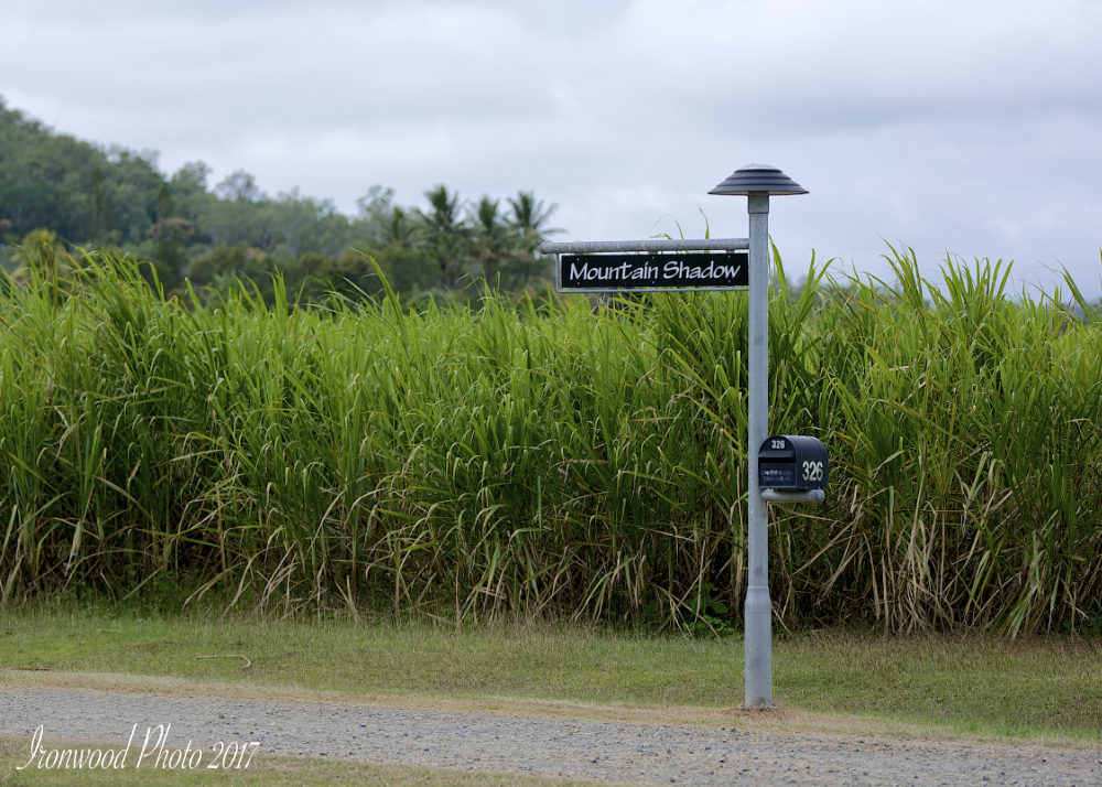 DSC_9520.jpg