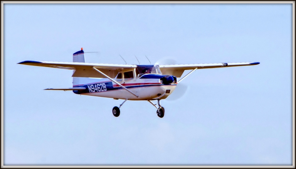 DSC_9521.jpg