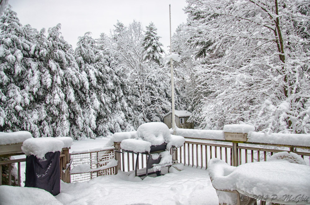 DSC_9522-Edit.jpg