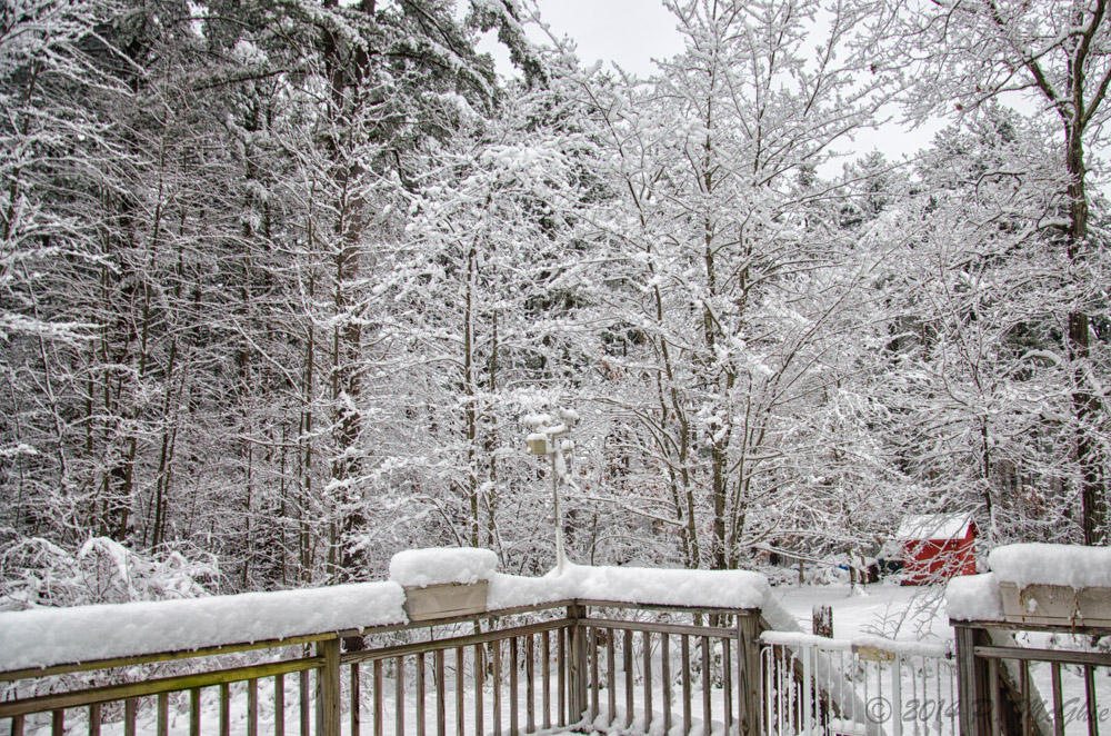 DSC_9524-Edit.jpg