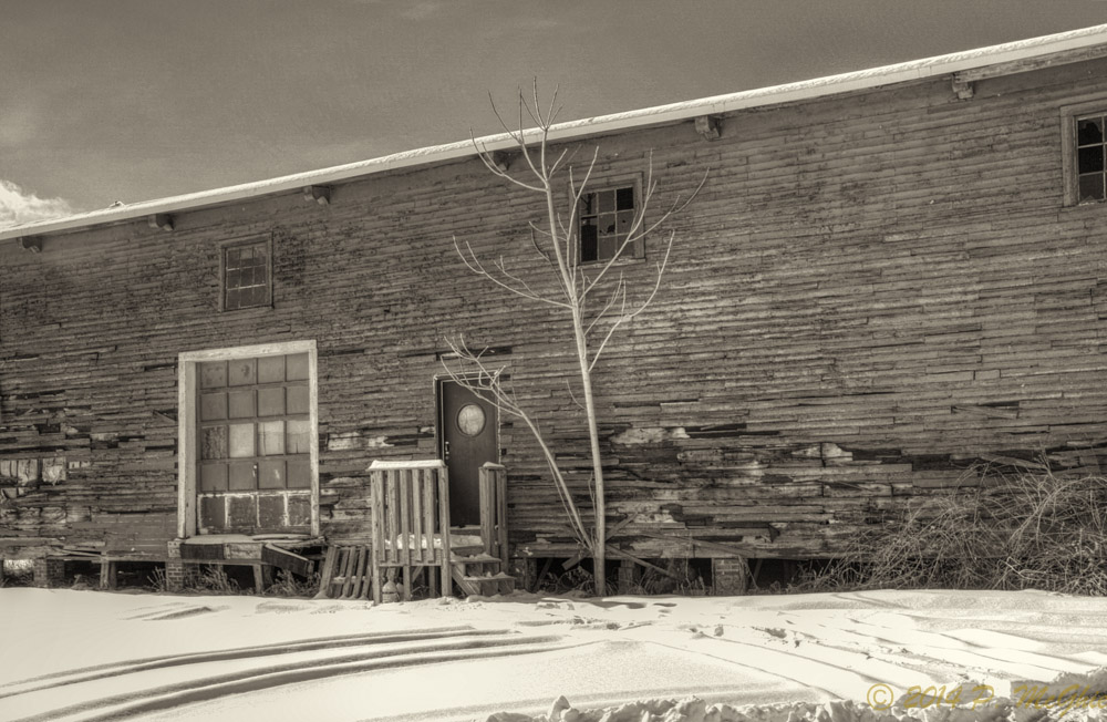 DSC_9549_50_51_tonemapped-Edit-2.jpg