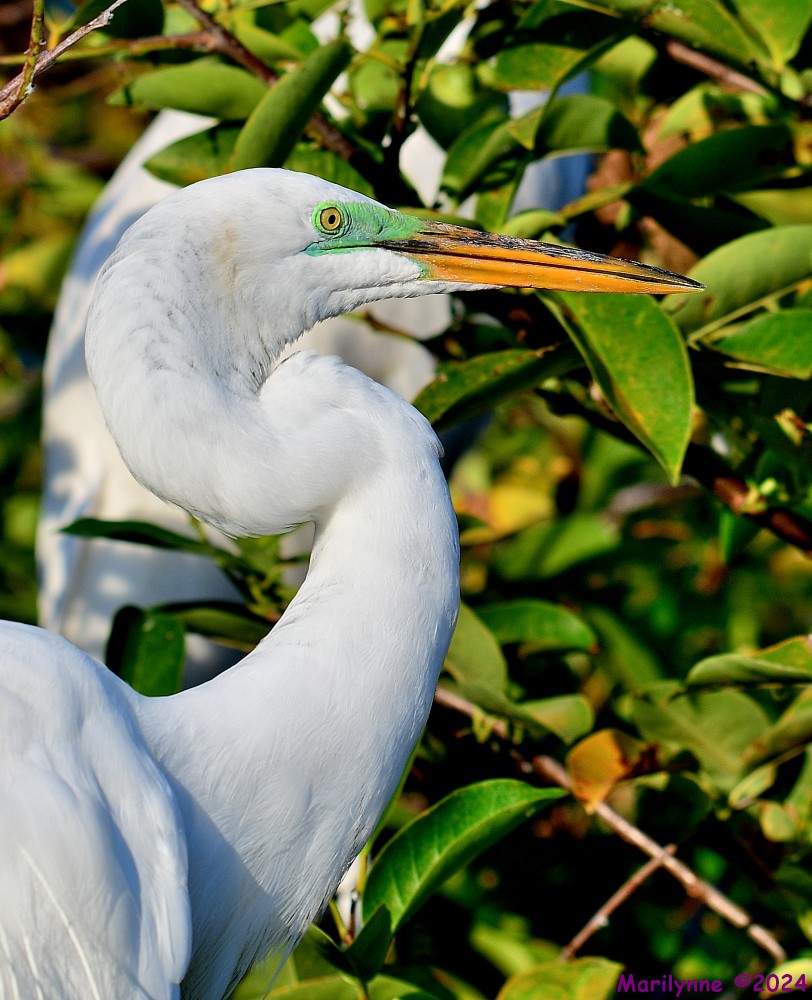 DSC_9559_001.JPG