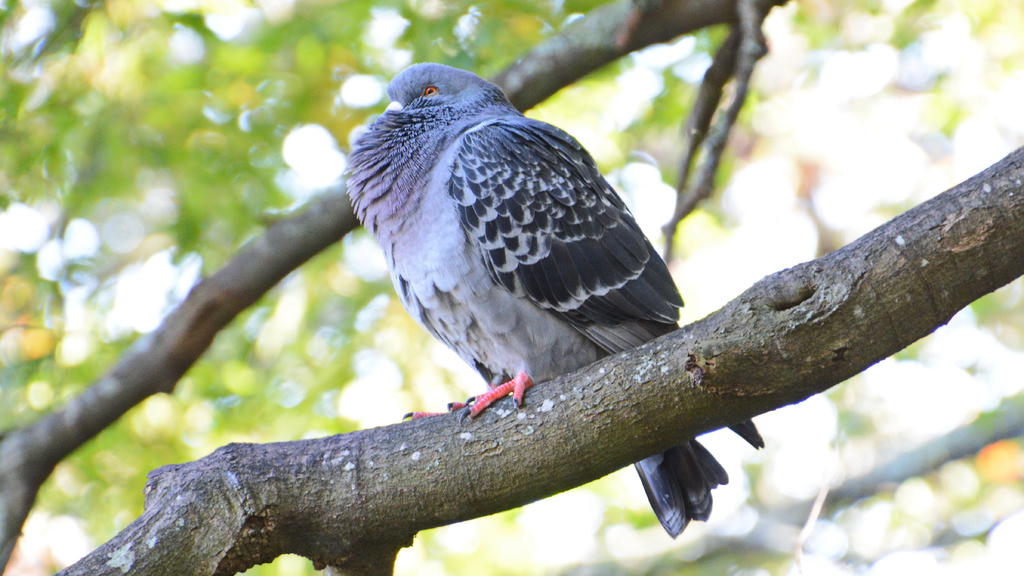 DSC_9564.jpg