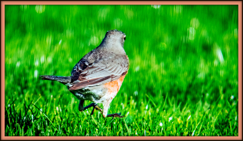 DSC_9566-Edit-2.jpg