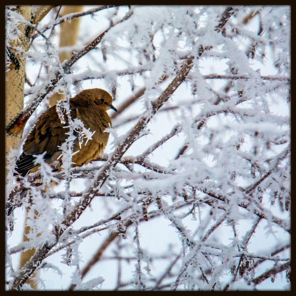 DSC_9571.jpg