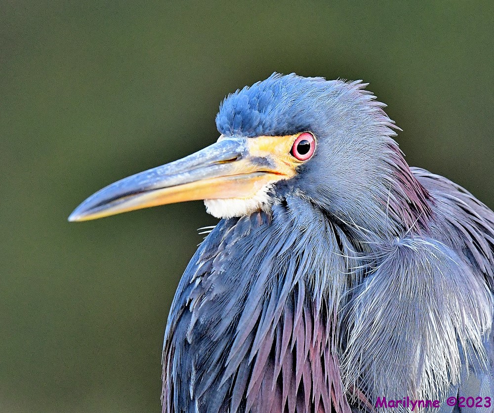 DSC_9575_001.JPG