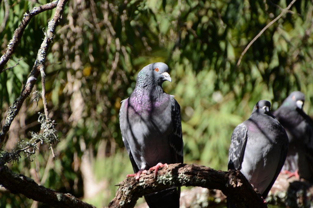 DSC_9581.jpg