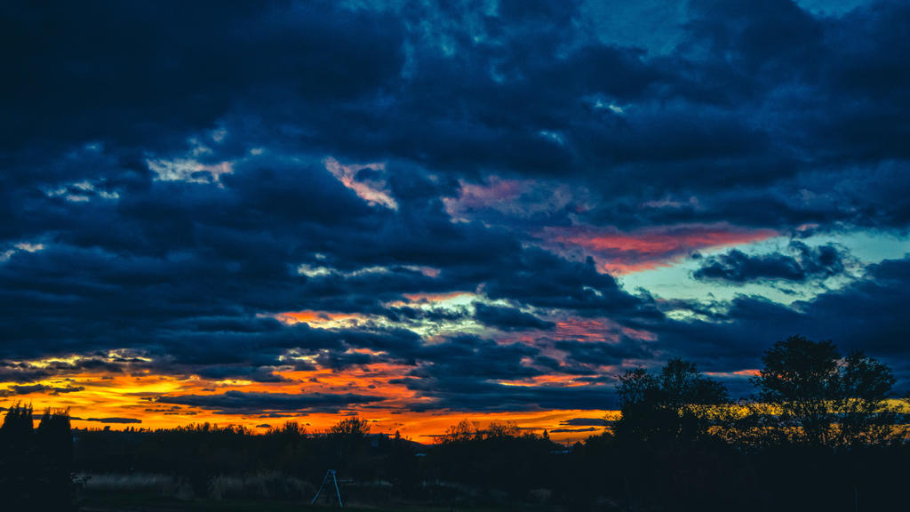 DSC_9597-Edit.jpg