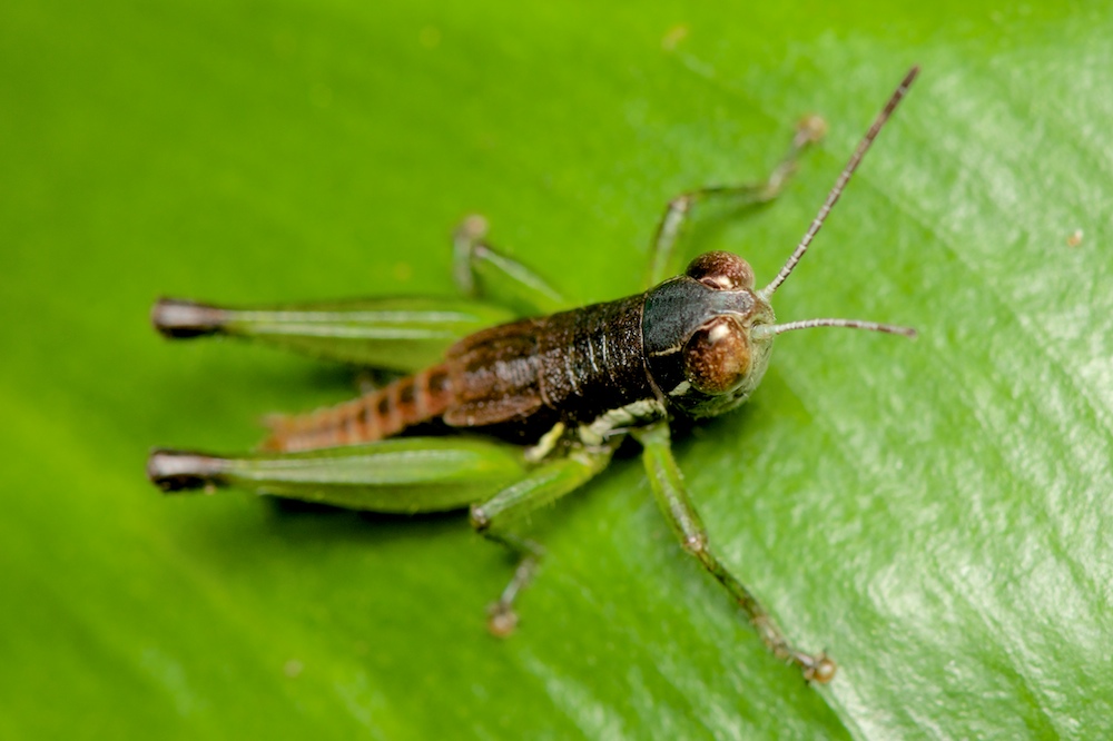 DSC_9607.jpg