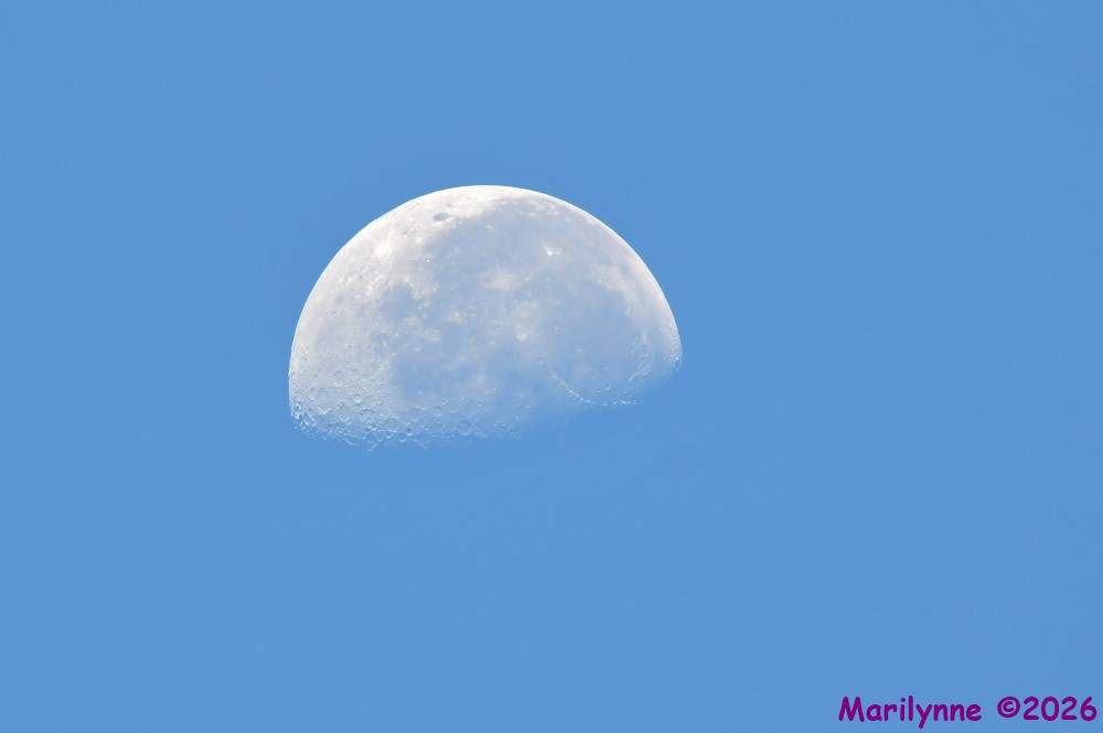 DSC_9607_001.JPG