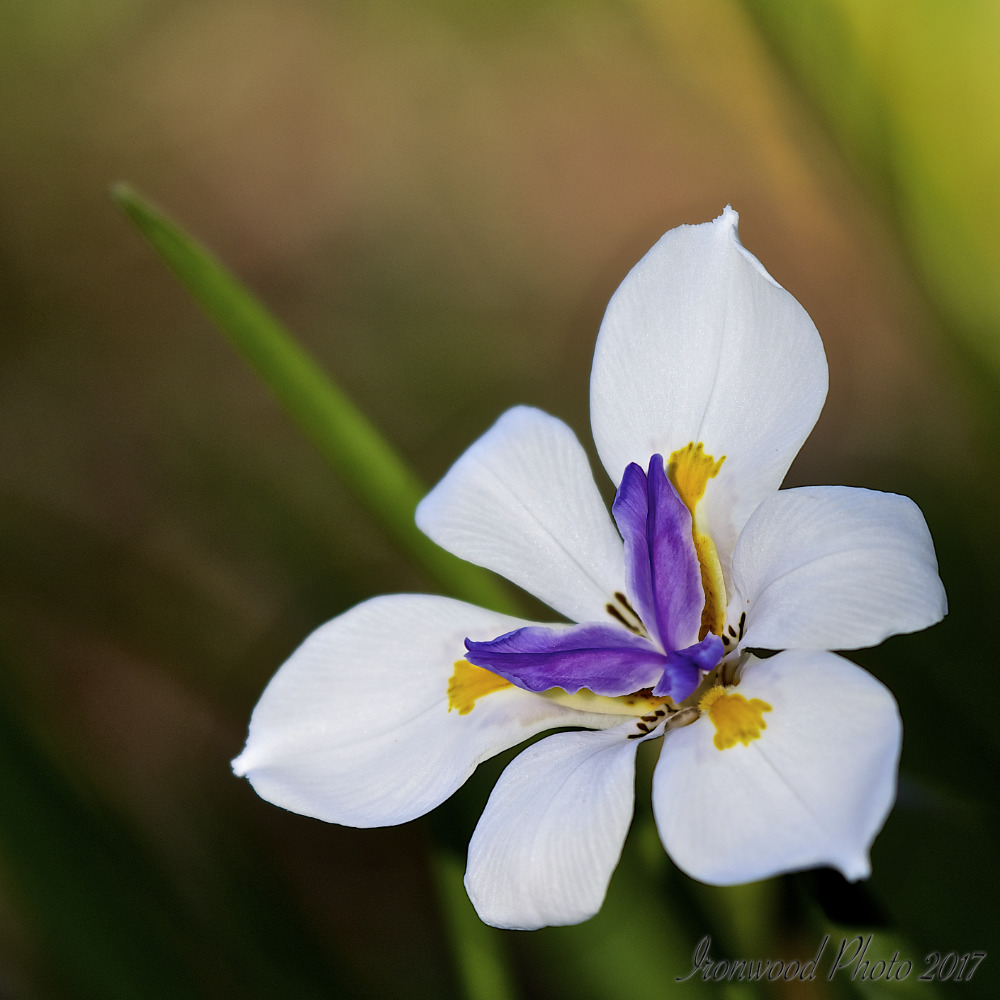 DSC_9623.jpg
