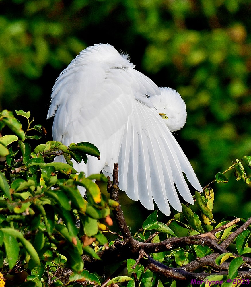 DSC_9624_001.JPG