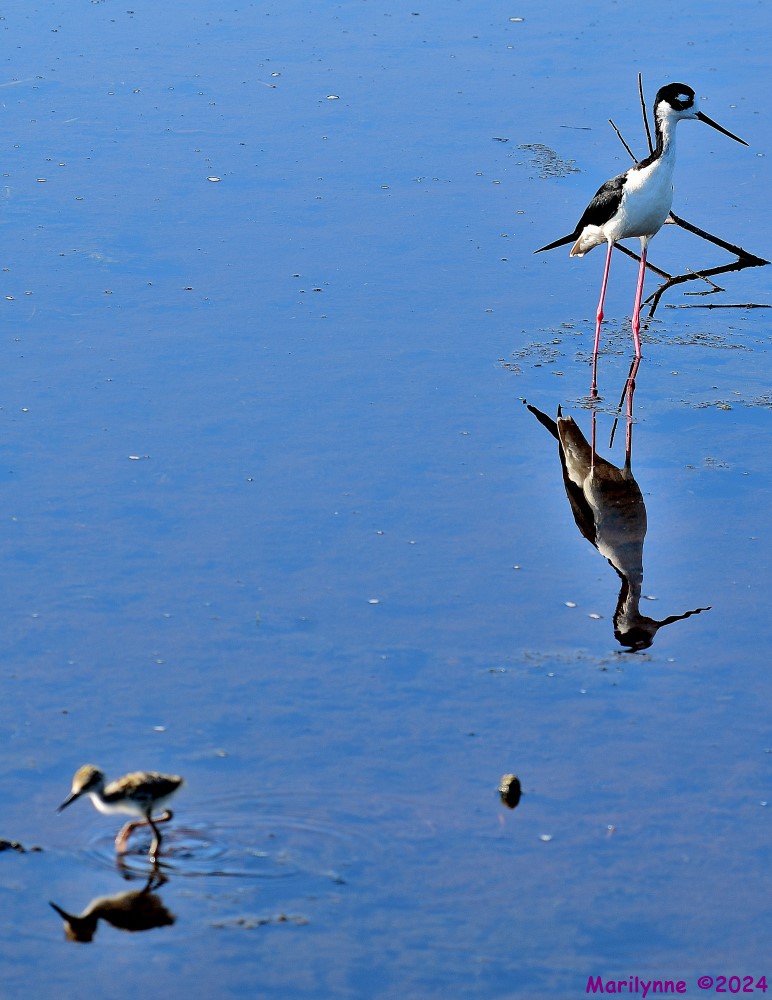 DSC_9624_001.JPG