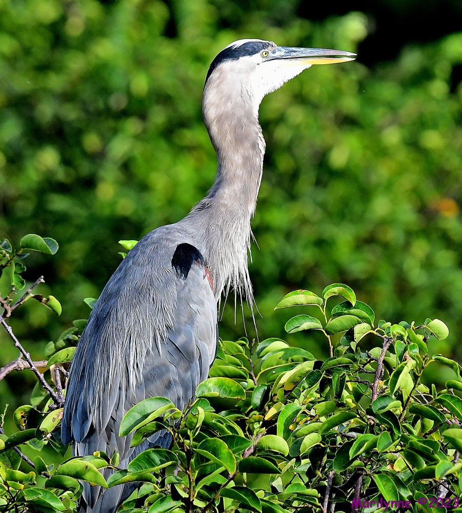 DSC_9626_001.JPG