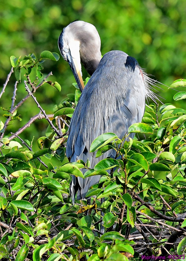 DSC_9628_001.JPG
