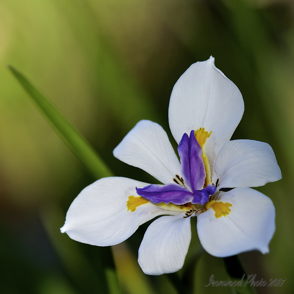 DSC_9629.jpg