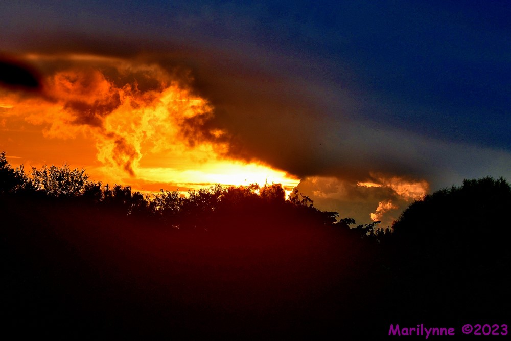 DSC_9630_001.JPG