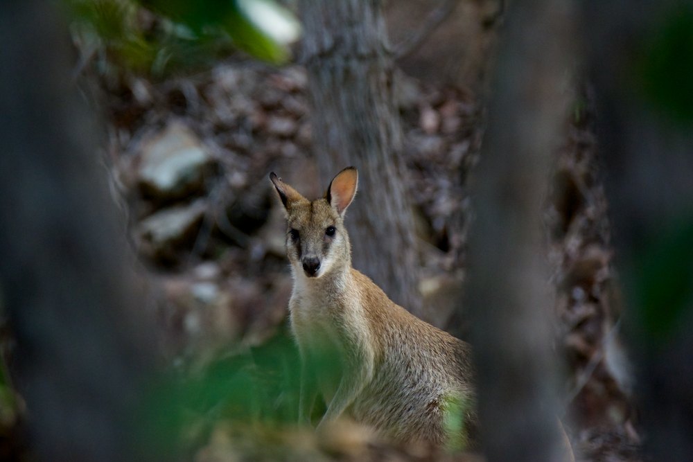 DSC_9632.jpg