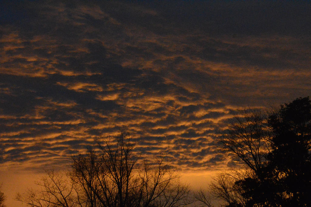 DSC_9633.jpg