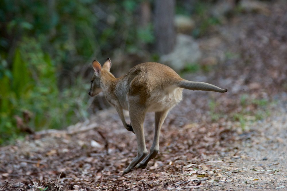 DSC_9634.jpg