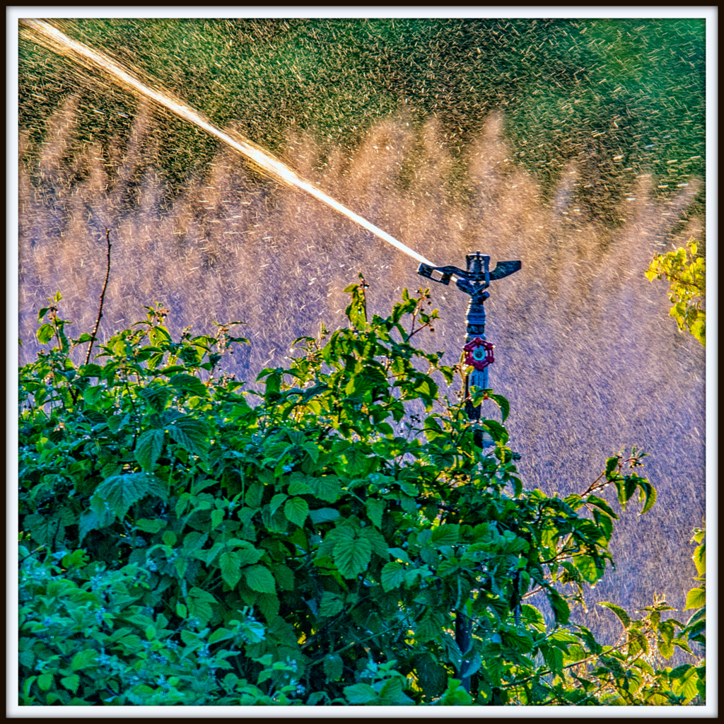 DSC_9640-Edit.jpg